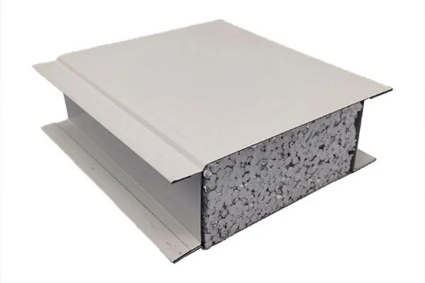 Cleanroom panel 1